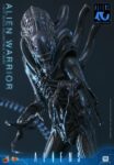 Hot Toys Aliens 40th Anniversary Alien Warrior 1/6 Action Figure