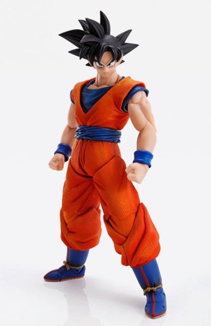 Dragon Ball Z Imagination Goku