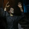 NECA Ultimate Frankenstein ( Colour ) Universal Monsters Action Figure