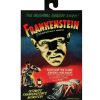 NECA Ultimate Frankenstein ( Colour ) Universal Monsters Action Figure