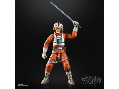 Star Wars The Black Series Luke Skywalker ( Snowspeeder PIlot )