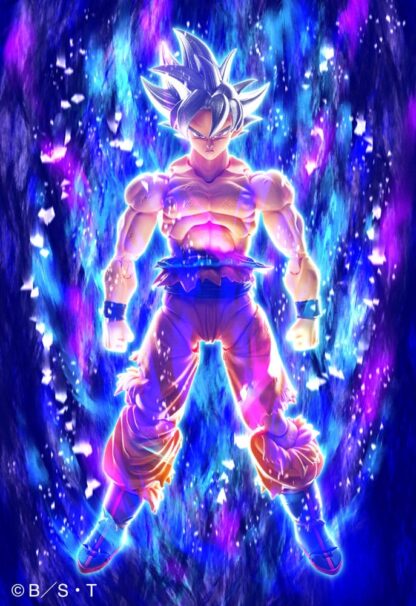 S.H.Figuarts Dragon Ball Super Son Goku Ultra Instinct Toyotarou Ed