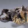 Bandai Monster Hunter S.H.MonsterArts Enraged Rajang