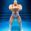 S.H.Figuarts Kinnikuman ( Perfect Origin Arc )