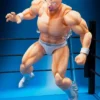 S.H.Figuarts Kinnikuman ( Perfect Origin Arc )