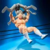 S.H.Figuarts Kinnikuman ( Perfect Origin Arc )